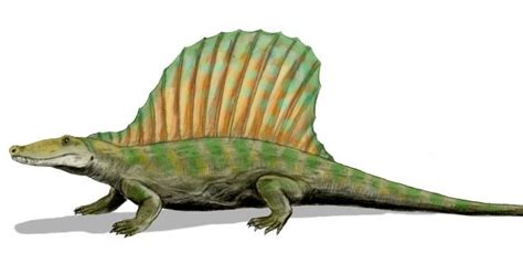 Secodontosaurus Obtusidens Spinops