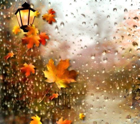 Rainy Fall Wallpapers Top Free Rainy Fall Backgrounds Wallpaperaccess