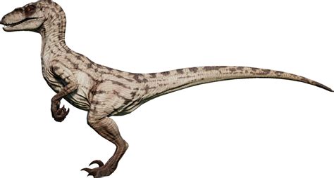 Velociraptor Jurassic World Evolution Wiki Fandom Jurassic Park Characters Jurassic Park