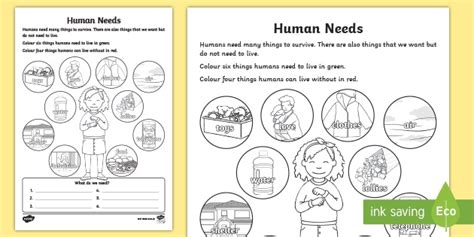 Human Needs Worksheet Teacher Made