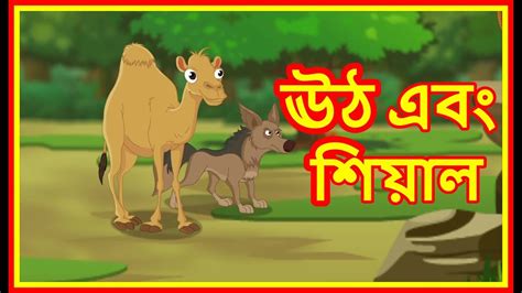 The camel agreed to do so since he wanted to take a revenge upon the. ঊঠ এবং শিয়াল | Camel And The Jackal | Moral Stories for ...