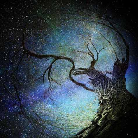 Magic Tree Magical Tree Dream Catcher Forest Spirit