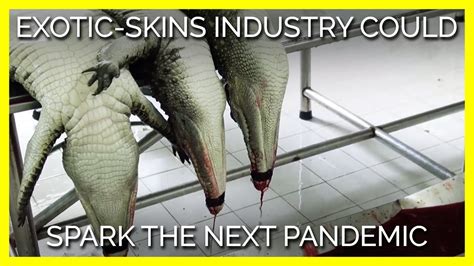 The Exotic Skins Industry Could Spark The Next Pandemic Youtube
