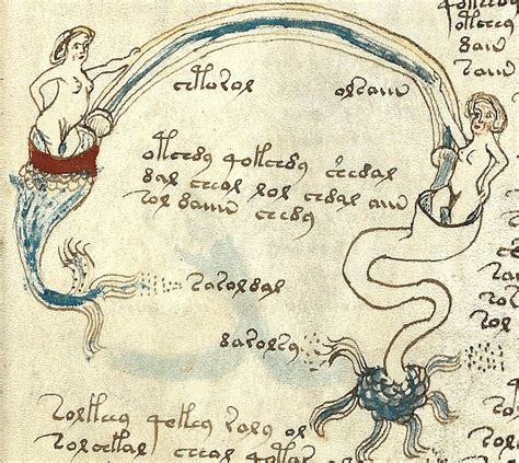 The Mysterious Voynich Manuscript Has Finally Been Decoded 46 Off