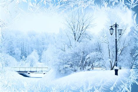 5k Free Download Winter Lantern Winter Time Trees Snowy Snow