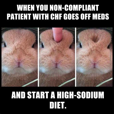 Pitting Edema Memes Memes Medicaltalknet The Best Medical