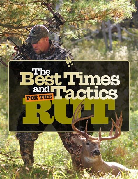 Best Times To Hunt Deer By Zip Code Molly Daily