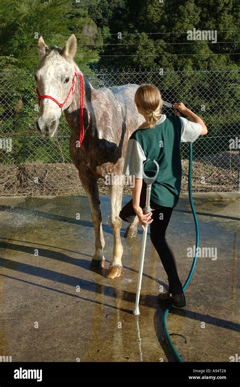 Young Woman With Amputated Leg Washing Her Horse After Equestrian Stock
