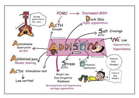 Addison Disease Primary Adrenal Insufficiency Creative Med Doses