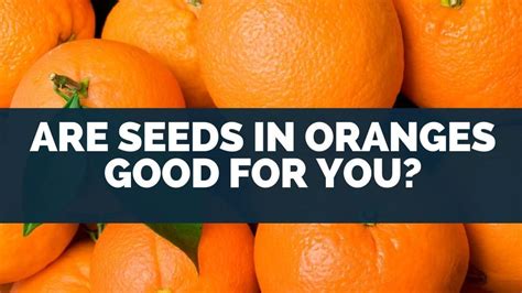 Are Seeds In Oranges Good For You If You Swallowed Eat For Longer