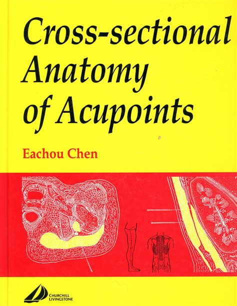 Cross Sectional Anatomy Of Acupuncture By Chen Eachou Fine Hardcover