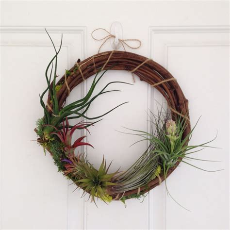 This Air Plant Wreath Is Gorgeous And Was So Easy To Make Air Plants