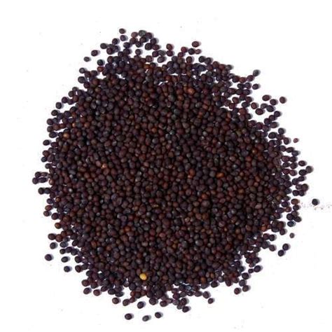 Black Mustard Seeds At Rs 48kg Mridha Market Kolkata Id 21861008630