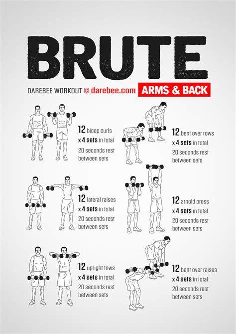 Brute Arms And Back Workout