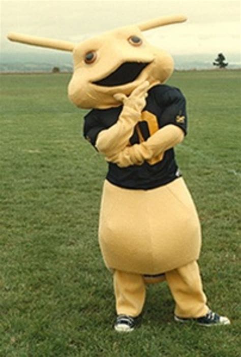 Strange But Fun College Mascots Hubpages