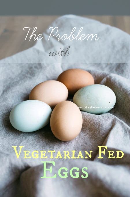 The Problem with Vegetarian Fed Eggs | Eat. Play. Love... More