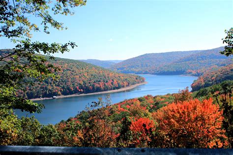 Unexpected Fall Foliage Last Chance To Leaf Peep