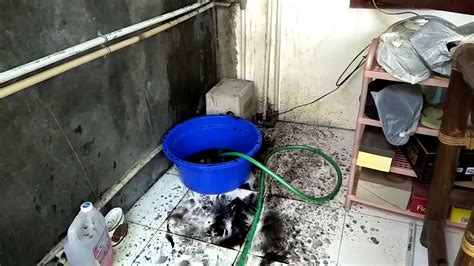 Desainnya yang elegan dengan warna netral, sangat. Cara memperbaiki Kran dan Saluran Air yang mampet - YouTube