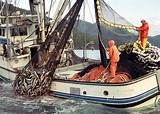 Photos of Alaska Fish Processing Companies