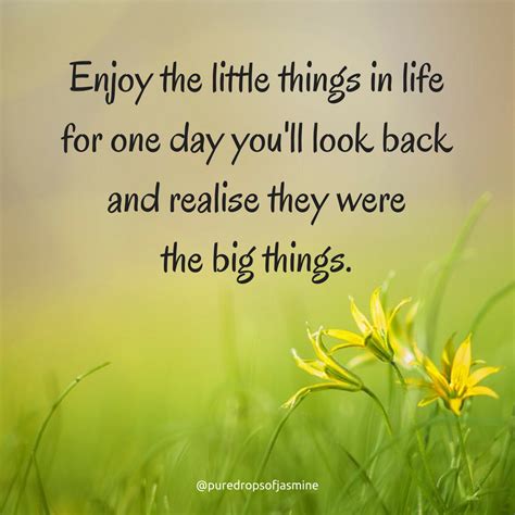 Quote Enjoy The Little Things In Life Quotes Life Enjoyment