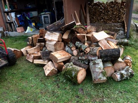 Hauling Wood Firewood Hoarders Club