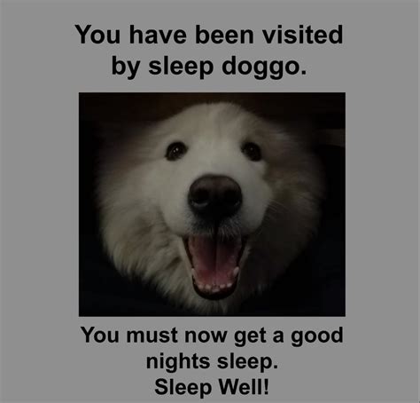 26 Good Night Doggo Meme Png Funny