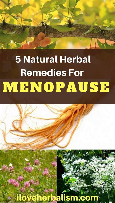 288 best menopause symptoms oh dear home remedies images on pinterest