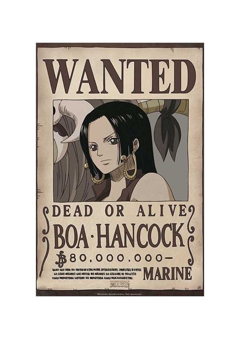 Affiche Boa La Hancock Wanted Poster Ou Cadre