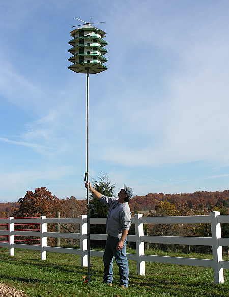 Purple Martin Housing Maintenance Night Sky Ramblins