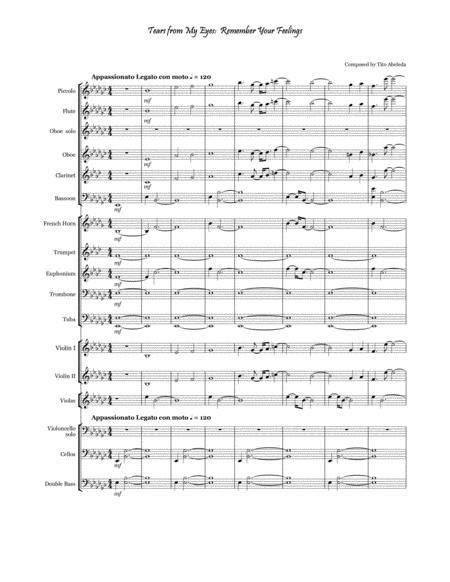 Tears From My Eyes Remember Your Feelings For Orchestra By Tito Abeleda Digital Sheet Music