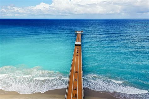 juno beach florida 15 must experience activities and attractions