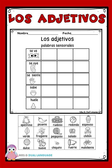 Adjetivos En Español Ejercicios De Gramatica Adjetivos Segundo
