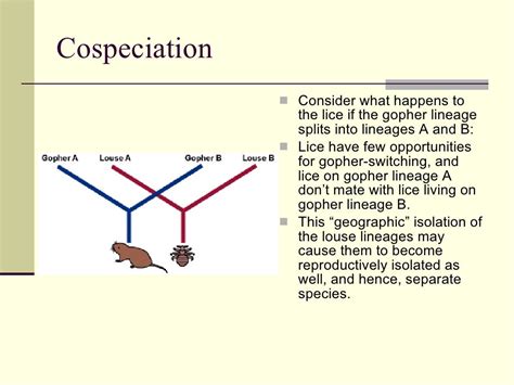 Models Of Speciation