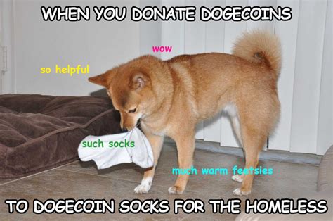 When did the dog memes start? Doge Coin Memes - What Is Doge Internet The Guardian / I ...