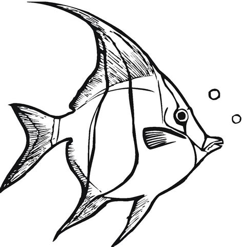 Angelfish 3 coloring page | free printable coloring pages. Normal Angelfish Coloring Page - Free Printable Coloring Pages for Kids