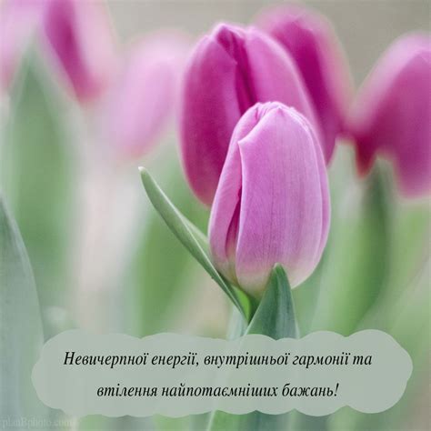 Бажаю тобі будинок я побудувати, його до небес тобі вигнати, щоб був великим і дуже зручним, щоб в ньому виконувалися бажання твої. Красиве привітання з днем народження для неї (для подруги ...