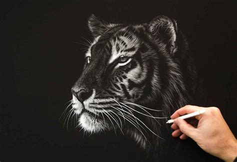 Stunning Drawings Of Endangered Wild Animals By Richard Symonds