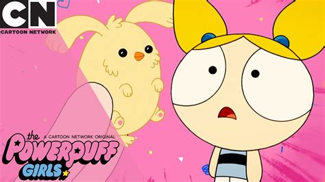 The Powerpuff Girls Cutest Little Pet Cartoon Network Youtube