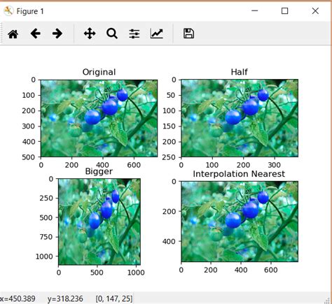 Image Scaling Opencv C Imagecrot