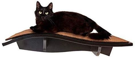 Because she's a rather large and lethargic cat, this is great news — she can use the cardio! Amazon.com : Arf Pets Cat Perch, Wall-Mounted Wooden Shelf ...