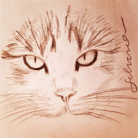 Dibujos De Gatos A Lapiz Faciles De Hacer 39 Images Result Dosoka