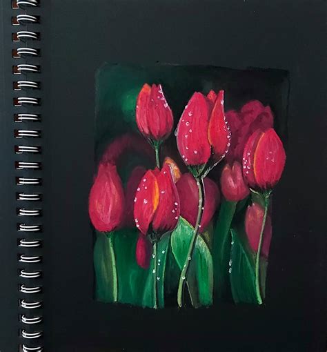 Drawing On Black Paper With Pastel Pencils Coloured Pencils And Other