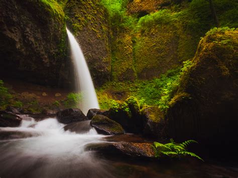 Ponytail Falls With Fern Columbia River Gorge Oregon Ken Koskela