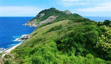 Snake island has so many interesting and scary facts behind it that it's hard to tell what is real and most people prefer sand around their feet on vacation, not slithering snakes, so snake island is not a. World's Most Deadly Island: Snake Island > Global Content ...