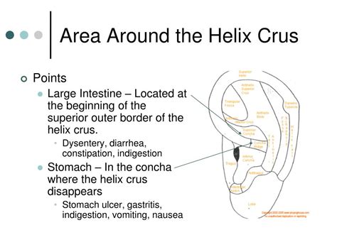 Ppt Auricular Acupuncture Powerpoint Presentation Free Download Id