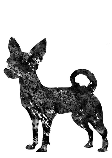 Chihuahua Black Digital Art By Erzebet S Fine Art America
