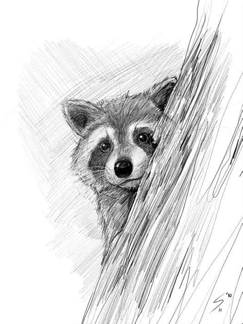 How To Draw A Raccoon Face Step By Step Easydrawingti