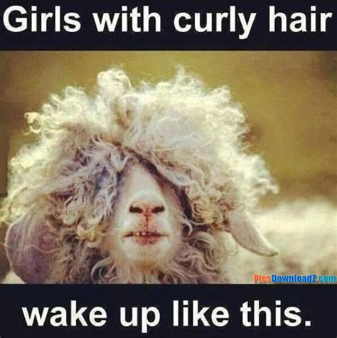 50 Most Popular Curly Hair Cute Girl Quotes