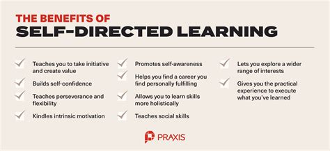 Self Directed Learning A Primer For Ambitious Young Adults