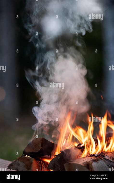 Burning Campfire Flames And Smoke Stock Photo Alamy